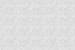 Jasa Pembuatan Website Flores Timur Profesional