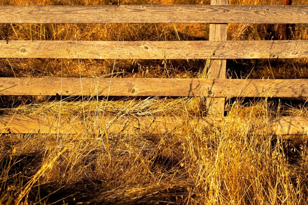 Keuntungan Menggunakan Jasa Pembuatan Website Padang