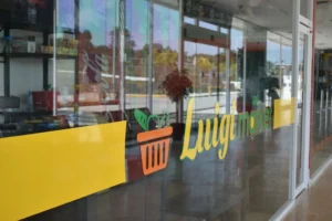 Jasa Pembuatan Website Lubuklinggau Profesional & Terpercaya