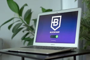 Jasa Pembuatan Website Boalemo Profesional & Terpercaya