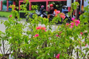 Service HP Semarang Terbaik: Cepat, Terpercaya, Bergaransi